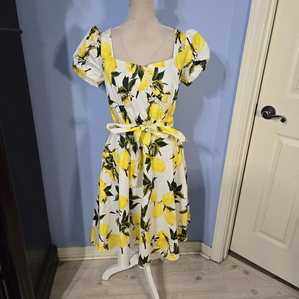 Goobgs Large Womens Dress